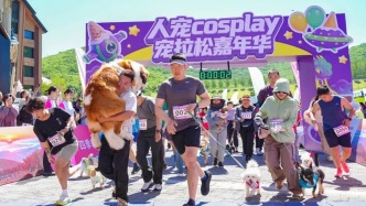 CNN为何盯上吉林市的狗？