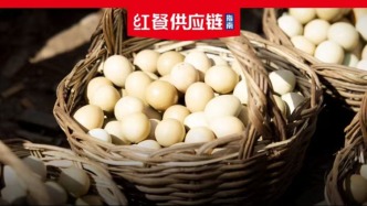 养殖户哭穷、消费者喊贵，鸡蛋涨价的利润“人间蒸发”了？