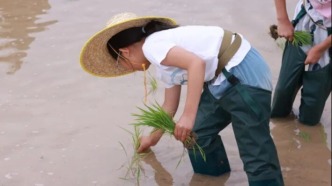 南海子“稻”梦空间农耕活动圆满收官！