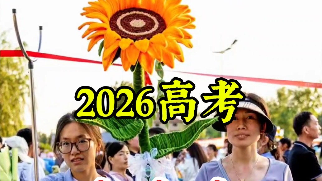 2026高考:3米高的向日葵,爱意满满的祝福丨河南·滑县
