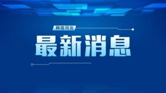 中国正加紧筹建世界人工智能合作组织