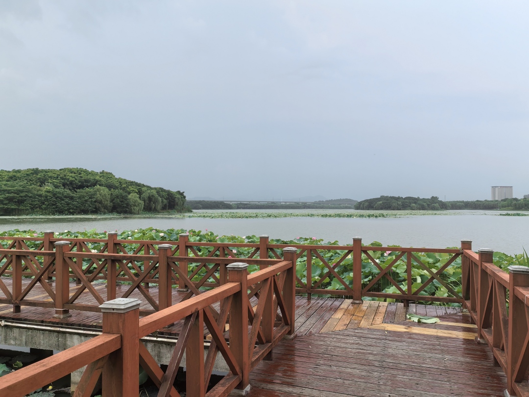 江南梅雨：烟雨天时，藏尽山河烟火与岁月深意