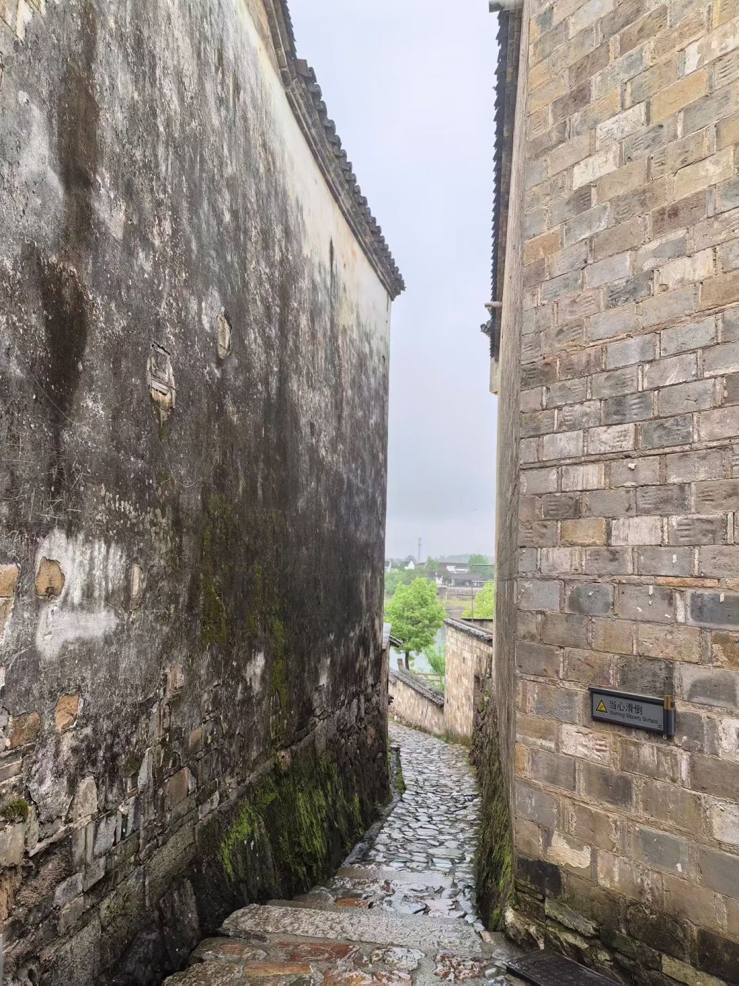 江南梅雨：烟雨天时，藏尽山河烟火与岁月深意