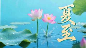 今日夏至｜愿步履不停，逐光生长