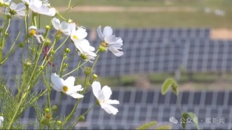 从黄沙漫天到蜜香满园，鄂尔多斯这片矿区逆袭了！ | 走一线 改文风
