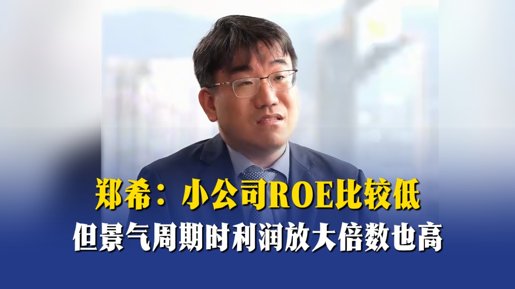郑希:小公司ROE比较低,但景气周期时利润放大倍数也高