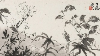 撷华丨王恒·逸卉闲芳