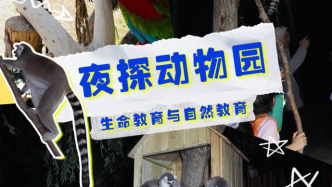 承包整个夏夜的快乐！鄂野把动物园变成了游乐园