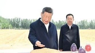 总书记手中这把麦粒凝聚同心奋斗