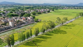 百千万·开新篇｜开平市以全域交通路网建设实效赋能“百千万工程”纵深推进
