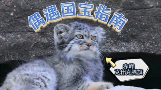 探秘赤峰鲜为外地人知道的“母亲河”，体验野生动物开盲盒
