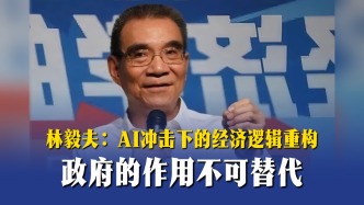 林毅夫：AI冲击下的经济逻辑重构，政府的作用不可替代