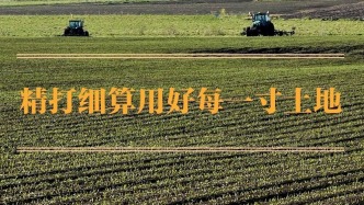 精打细算用好每一寸土地