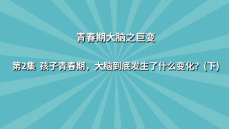 《七讲了解青春期大脑之巨变》第2集：孩子青春期，大脑到底发生了什么变化？（下）