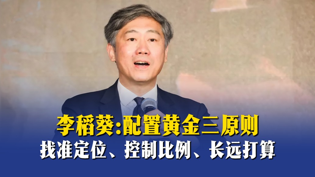李稻葵：配置黄金三原则——找准定位、控制比例、长远打算