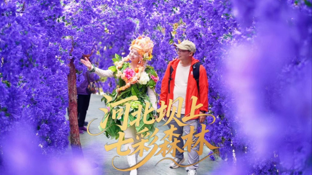 北京周边避暑天花板!16℃的丰宁七彩森林,亲子遛娃、暑期度假一站式全搞定