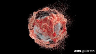 胰腺癌细胞会“自我毁灭”吗？科学家发现一种意想不到的新方法 | 科学世界·新知