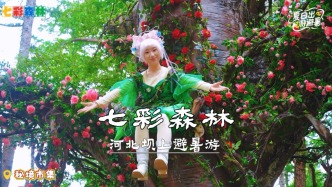 暑期亲子游：河北七彩森林，清凉又好玩，暑期遛娃避暑一站式搞定
