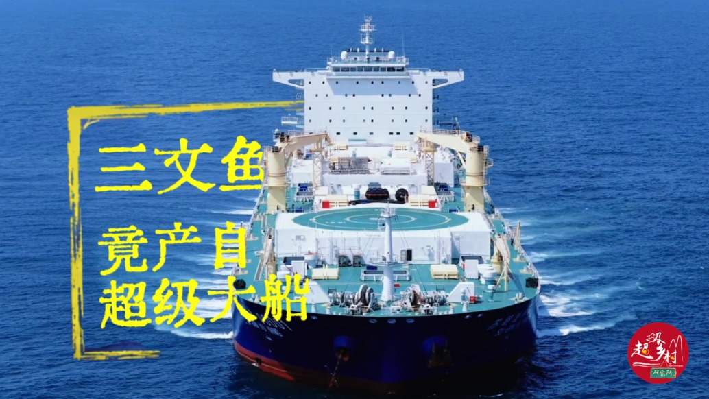 我国在深海一艘超级大船上养三文鱼 |探秘