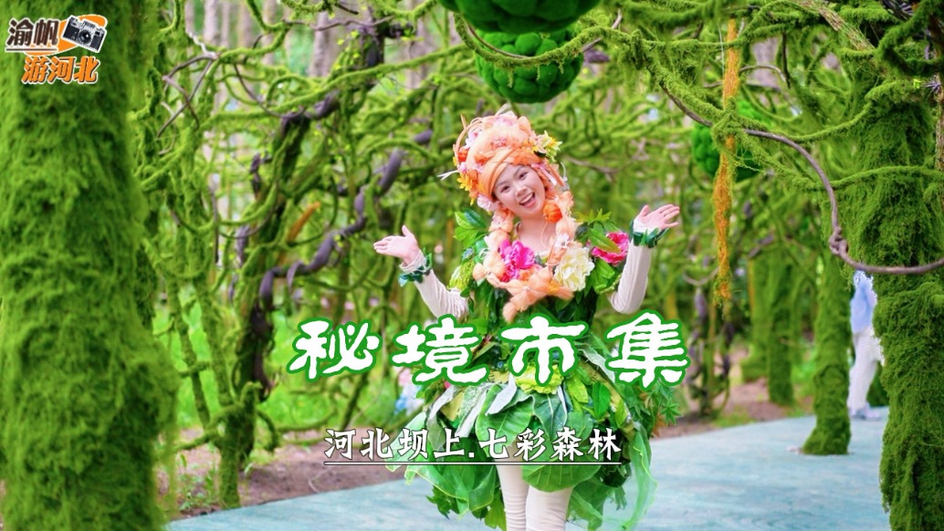 七彩森林秘境市集：木屋鲜花配精灵NPC，如同闯进现实版的绿野仙踪