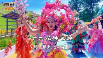 七彩森林避暑游，偶遇十二花神巡游，国风古韵与森林童话完美相融