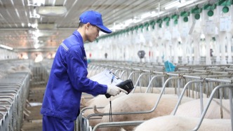 “生猪产能去化”进入倒计时 行业冲刺跑提速