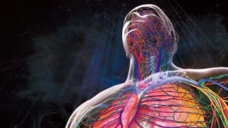 神奇的人体：终极高性能“机器”全图解 | 科学世界·上新