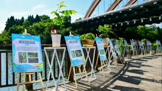 华南国家植物园珍稀濒危植物展亮相观山湖区