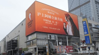1块钱年薪拷问奈雪，不知道沪上阿姨的“打工皇帝”怎么看