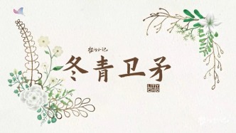 路边的绿篱拍摄了一年，有哪些你不曾见到的景色