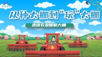 从种大棚到“玩”大棚