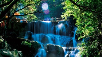 钟南山点赞！话题播放突破60亿次，鼎湖山凭什么长红出圈？
