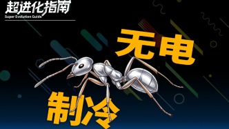 欧洲环保人设崩塌疯抢空调，印度热到集体移民，这不是降温最优解 