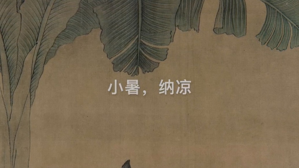 小暑，纳凉