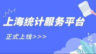 上海统计服务平台正式上线！