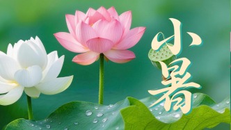今日小暑｜愿不疾不徐，心定神安