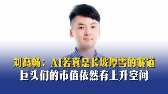 刘高畅：AI若真是长坡厚雪的赛道，巨头们的市值依然有上升空间