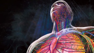 人体到底有多神奇？3个细节带你看懂身体的精妙设计 | 科学世界·特辑