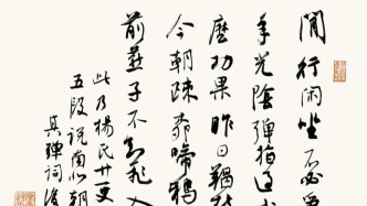 白阳书《廿一史弹词》丨说南北朝（史）