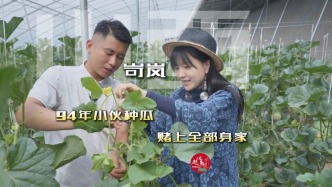 90后小伙在山西岢岚的山沟里建起17个大棚，把全部身家押在一颗瓜上