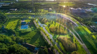 上海郊区还藏着一座国家级的“植物硅谷”！