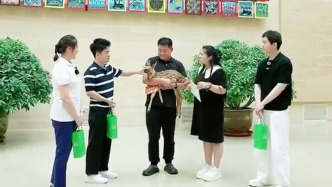 梅花鹿小暑，和董宇辉暖心相遇，这就是长春独一份的浪漫