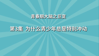 《七讲了解青春期大脑之巨变》第3集：为什么青少年总是特别冲动