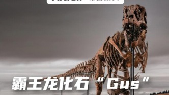 刷新化石品类拍卖纪录！ 霸王龙化石“Gus”以3.39亿元在纽约苏富比成交