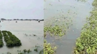 洪水漫过“世界茉莉花都”：你杯中的茉莉奶绿，还能香多久？