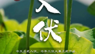 安全生产|今天入伏，超长三伏天，这些事情要注意！