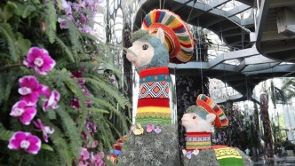 文商旅体验焕新升级，来浦东畅享夏日品质生活
