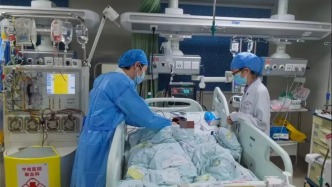 轻信AI识别为“无毒”后，一家三口贸然吃下剧毒蘑菇！