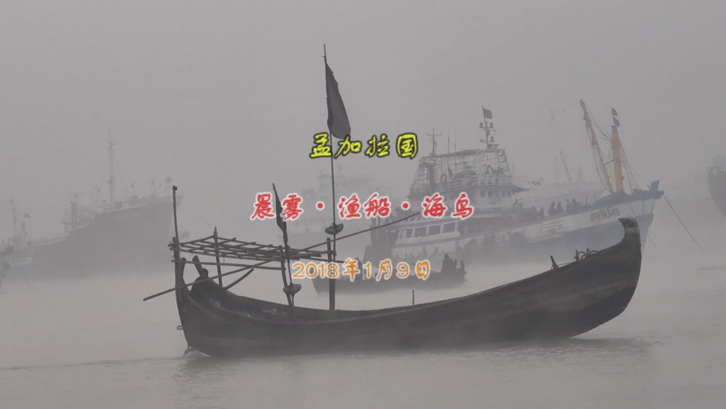孟加拉国:晨雾·渔船·海鸟