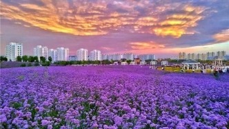  清凉一“夏”｜金昌夏日避暑游玩路线全推荐